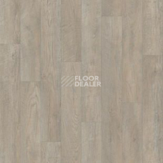 Линолеум Tarkett Discovery Hudson 2 фото 1 | FLOORDEALER